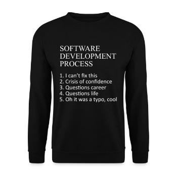 Webentwickler Software-Entwicklungsprozess Javascr - Unisex Pullover - Schwarz - Vorne - Alina (178cm) & Michal (187cm)