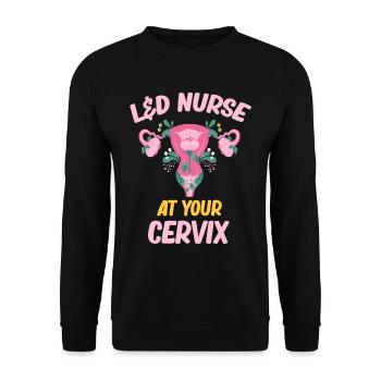 L&d Krankenschwester Sie Schieben Ich Werde Wehen - Unisex Pullover - Schwarz - Vorne - Alina (178cm) & Michal (187cm)