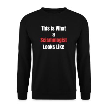 So Sieht Ein Seismologe Aus Vulkanologe Magma - Unisex Pullover - Schwarz - Vorne - Alina (178cm) & Michal (187cm)
