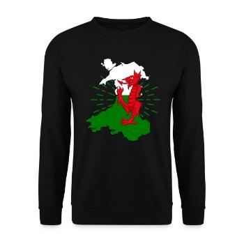 Drapeau du Pays de Galles Celtes Dragon Nation de Cardiff - Sweat-shirt Unisexe - noir - Devant - Alina (178cm) & Michal (187cm)