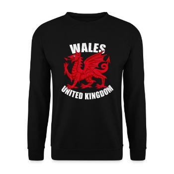 Wales Kelten Flagge Drache Cardiff Fußball Wappen - Unisex Pullover - Schwarz - Vorne - Alina (178cm) & Michal (187cm)