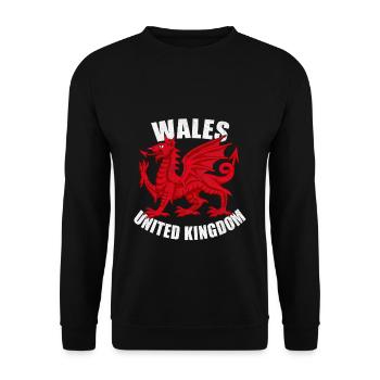 Dragon du pays de galles - Sweat-shirt Unisexe - noir - Devant - Alina (178cm) & Michal (187cm)
