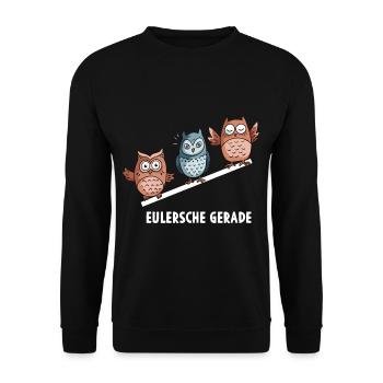 Eulersche Gerade Mathe Eulen Mathematik - Unisex Pullover - Schwarz - Vorne - Alina (178cm) & Michal (187cm)
