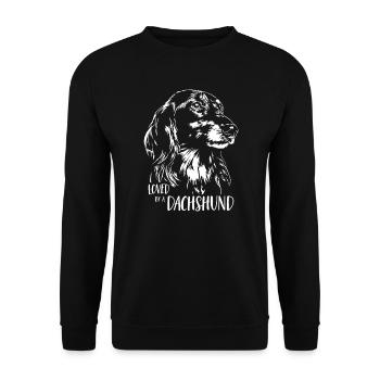 Loved by a Dachshund Longhair Dachshund Dogs Wilsigns - Unisex Sweatshirt - black - Front - Alina (178cm) & Michal (187cm)