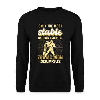 Sternzeichen Aquarius Astrologie Geschenk - Unisex Pullover - Schwarz - Vorne - Alina (178cm) & Michal (187cm)