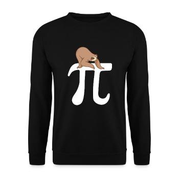 Math Sloth Pi - Unisex Sweatshirt - black - Front - Alina (178cm) & Michal (187cm)
