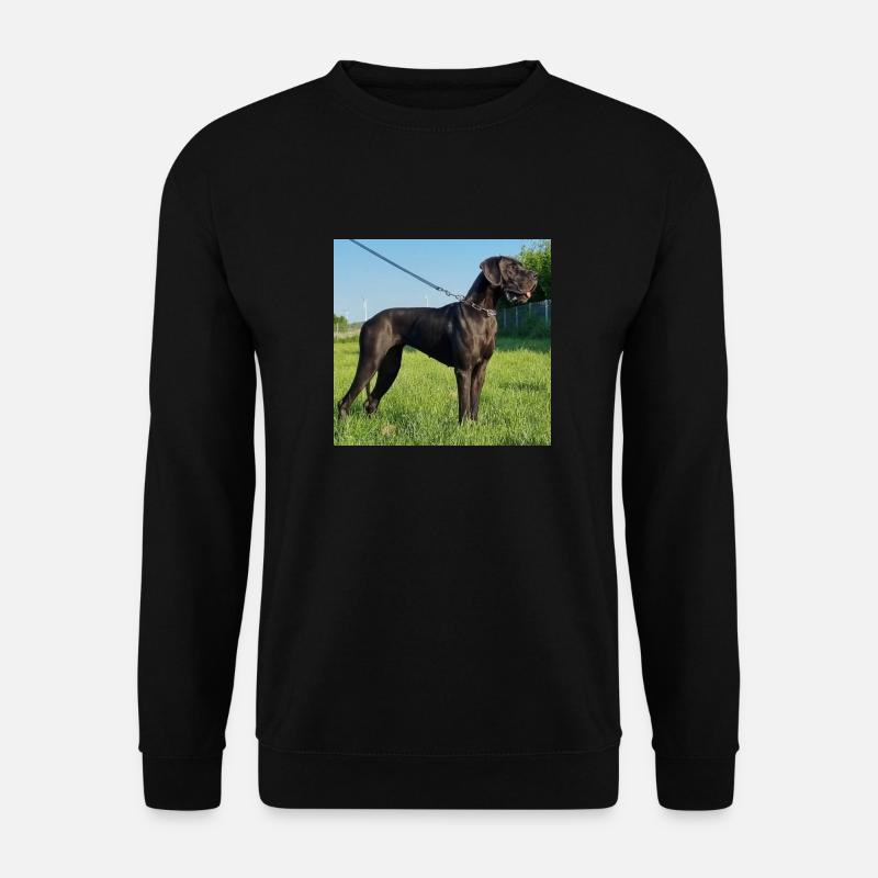 Élite du Bosquet des druides - Sweat-shirt Unisexe - noir