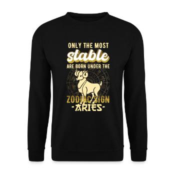 Zodiac Sign Aries Stars Gift - Unisex Sweatshirt - black - Front - Alina (178cm) & Michal (187cm)