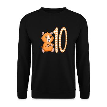 10 Geburtstag Meerschweinchen Mädchen 10 Jahre alt - Unisex Pullover - Schwarz - Vorne - Alina (178cm) & Michal (187cm)