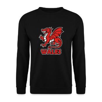 Walisischer roter Drache "WALES" - Unisex Pullover - Schwarz - Vorne - Alina (178cm) & Michal (187cm)