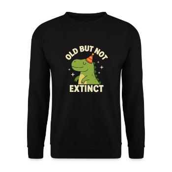 Lustiger Dino – Geburtstagsgeschenk Idee - Unisex Pullover - Schwarz - Vorne - Alina (178cm) & Michal (187cm)