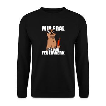 I don't care, I have fireworks, pyrotechnicians, firecrackers - Unisex Sweatshirt - black - Front - Alina (178cm) & Michal (187cm)