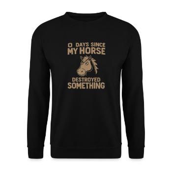 0 Days Since My Horse Destroyed Something Fun - Unisex Sweatshirt - black - Front - Alina (178cm) & Michal (187cm)