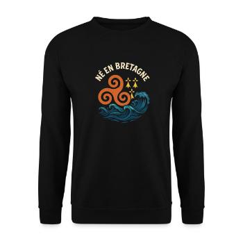 Geboren in der Bretagne, Triskel, bretonische Identität - Unisex Pullover - Schwarz - Vorne - Alina (178cm) & Michal (187cm)