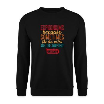 Les notes graves de l’euphonium sont les barytons les plus doux - Sweat-shirt Unisexe - noir - Devant - Alina (178cm) & Michal (187cm)