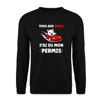 Panda im roten Cabrio erlaubt - Unisex Pullover - Schwarz - Vorne - Alina (178cm) & Michal (187cm)