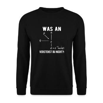 Computer Scientist Programmer Computer Nerd Saying - Unisex Sweatshirt - black - Front - Alina (178cm) & Michal (187cm)
