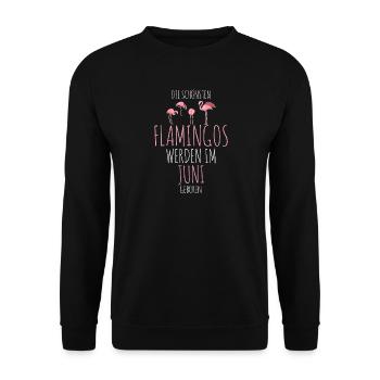 June Birthday Flamingo Saying Funny - Unisex Sweatshirt - black - Front - Alina (178cm) & Michal (187cm)