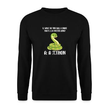 Schlange, 3,14 Meter lang, Pi-Tag-Python-Witz - Unisex Pullover - Schwarz - Vorne - Alina (178cm) & Michal (187cm)