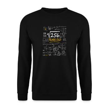 16 Jahre Geburtstag Mathematikformeln Lustig - Unisex Pullover - Schwarz - Vorne - Alina (178cm) & Michal (187cm)