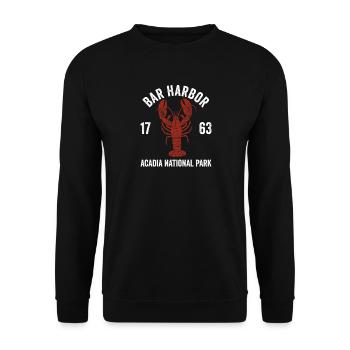 Bar Harbor, Acadia-Nationalpark – Besuchen Sie Aca - Unisex Pullover - Schwarz - Vorne - Alina (178cm) & Michal (187cm)