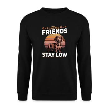 Teckel de race de chien drôle - Sweat-shirt Unisexe - noir - Devant - Alina (178cm) & Michal (187cm)