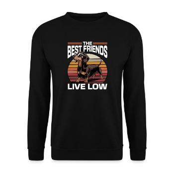Teckel de race de chien drôle - Sweat-shirt Unisexe - noir - Devant - Alina (178cm) & Michal (187cm)