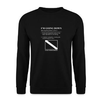 Drapeau de plongée sous-marine descendant rétro - Sweat-shirt Unisexe - noir - Devant - Alina (178cm) & Michal (187cm)