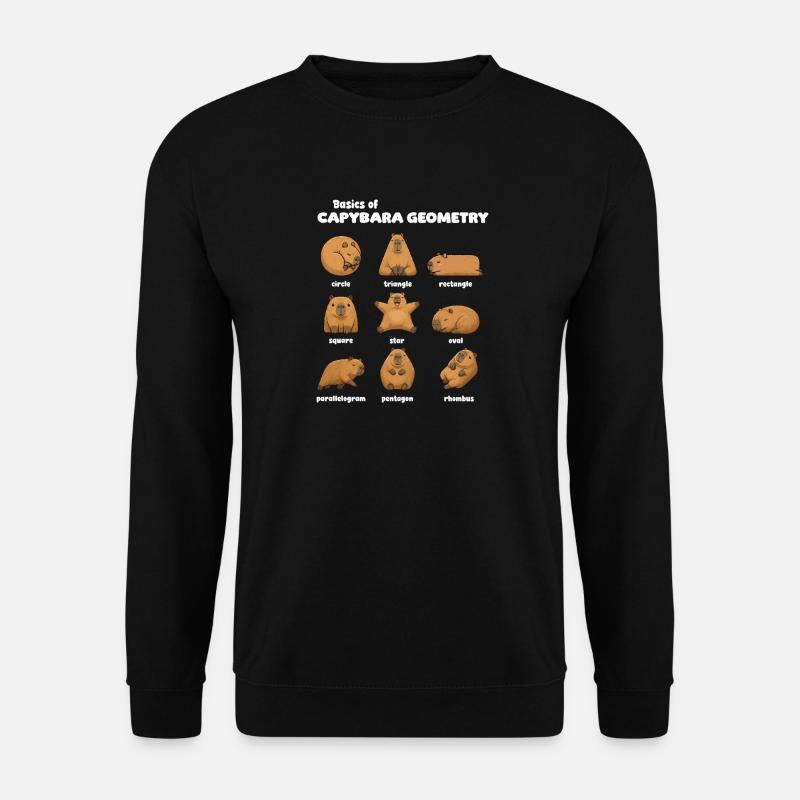 Basics of Capybara Geometry Funnier - Unisex Sweatshirt - black