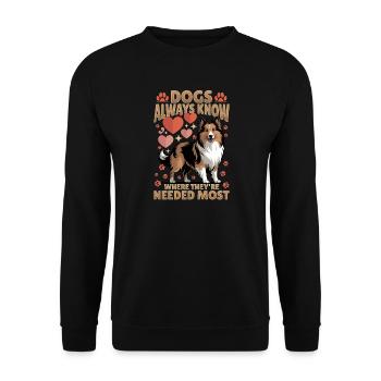 Shetland Sheepdog Sheltie Dog Breed - Unisex Sweatshirt - black - Front - Alina (178cm) & Michal (187cm)