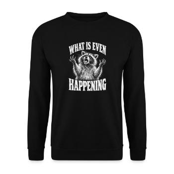 Waschbär, What is Even Happening - Unisex Pullover - Schwarz - Vorne - Alina (178cm) & Michal (187cm)