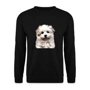 Bichon Maltais - Sweat-shirt Unisexe - noir - Devant - Alina (178cm) & Michal (187cm)