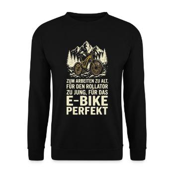 E-Bike Perfekt Waldabenteuer Humor - Unisex Pullover - Schwarz - Vorne - Alina (178cm) & Michal (187cm)