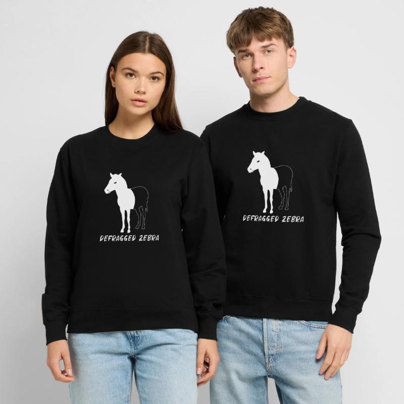 Defragged Zebra Admin Geek Programmierer Geschenk Unisex Pullover