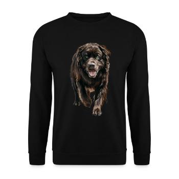 Neufundland - Unisex Pullover - Schwarz - Vorne - Alina (178cm) & Michal (187cm)
