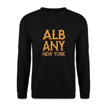 Albany - New York - United States of America - USA - Unisex Pullover - Schwarz - Vorne - Alina (178cm) & Michal (187cm)