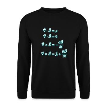 Gleichungen des Elektromagnetismus - Unisex Pullover - Schwarz - Vorne - Alina (178cm) & Michal (187cm)