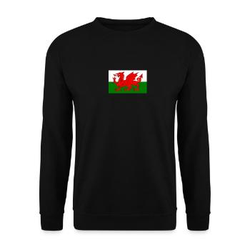 Wales Flagge - Unisex Pullover - Schwarz - Vorne - Alina (178cm) & Michal (187cm)