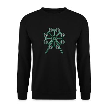 The Chemistry - Ferris Wheel! - Gift - Unisex Sweatshirt - black - Front - Alina (178cm) & Michal (187cm)