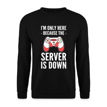 Lustiger Spieler Professioneller Videospieler - Unisex Pullover - Schwarz - Vorne - Alina (178cm) & Michal (187cm)