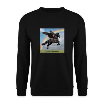 Rainbow Pegasus - Unisex Pullover - Schwarz - Vorne - Alina (178cm) & Michal (187cm)