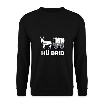 Hü Brid - Lustiges Hybrid Auto - Eselin - Unisex Pullover - Schwarz - Vorne - Alina (178cm) & Michal (187cm)