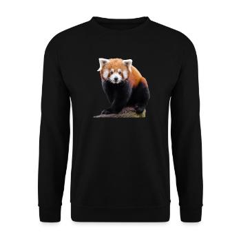 Sweet little red panda and cute cat bear - Unisex Sweatshirt - black - Front - Alina (178cm) & Michal (187cm)