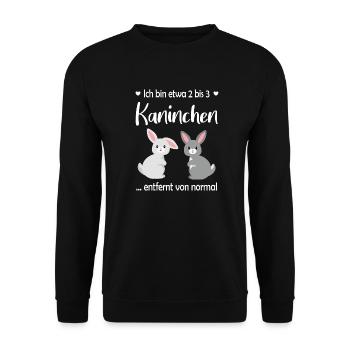 Ich bin etwa 2 bis 3 Kaninchen entfernt von normal - Unisex Pullover - Schwarz - Vorne - Alina (178cm) & Michal (187cm)