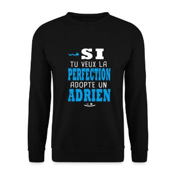 Adrien Si tu veux la perfection adopte un adrien - Sweat-shirt Unisexe - noir - Devant - Alina (178cm) & Michal (187cm)
