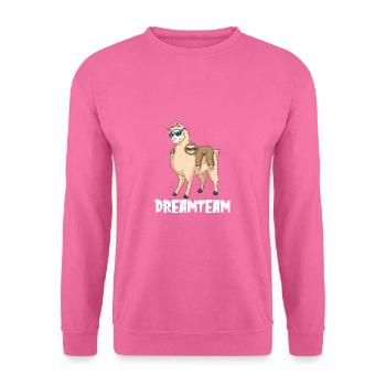 Dreamteam Lustiges Geschenk - Unisex Pullover - Pink - Vorne