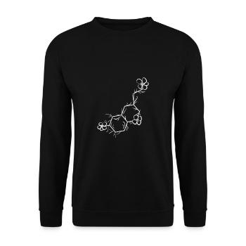 Professeur de chimie Chemikant Lustig - Sweat-shirt Unisexe - noir - Devant - Alina (178cm) & Michal (187cm)