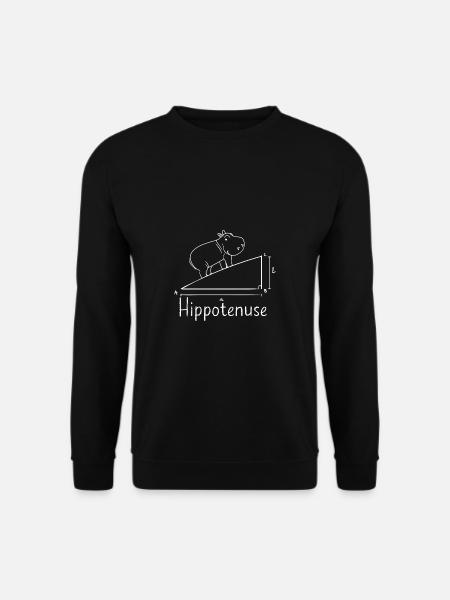 Lustiger Mathe Lehrer Spruch Mathematik - Unisex Pullover - Schwarz