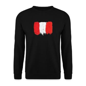 Drapeau du Pérou cadeau Patriot Brushstroke Painter - Sweat-shirt Unisexe - noir - Devant - Alina (178cm) & Michal (187cm)