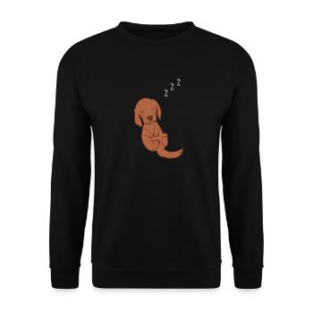Irish Setter - Cadeaux Irish Setter - Sweat-shirt Unisexe - noir - Devant - Alina (178cm) & Michal (187cm)